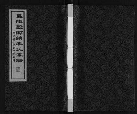 江苏李氏族谱-李氏东洋桥派家谱.pdf电子版缩略图