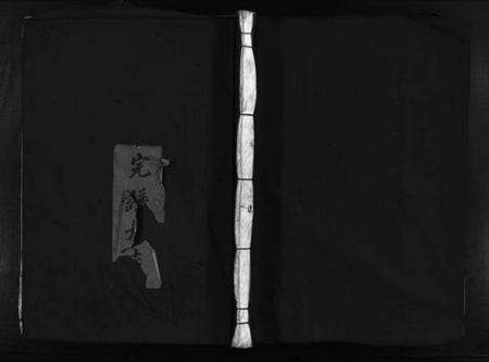 浙江武氏族谱-长山武氏宗谱 [不分卷].pdf电子版预览图1