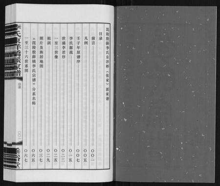 江苏李氏族谱-李氏东洋桥派家谱.pdf电子版预览图2