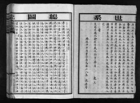 浙江武氏族谱-长山武氏宗谱 [不分卷].pdf电子版预览图3