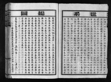 浙江武氏族谱-长山武氏宗谱 [不分卷].pdf电子版预览图4