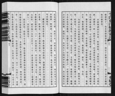 江苏李氏族谱-李氏东洋桥派家谱.pdf电子版预览图4