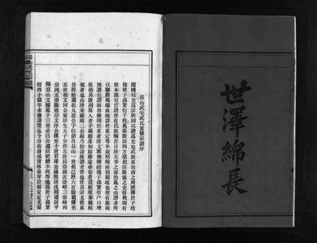 浙江武氏族谱-长山武氏宗谱 [不分卷].pdf电子版预览图3