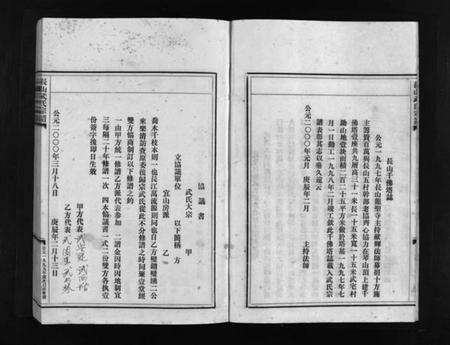 浙江武氏族谱-长山武氏宗谱 [不分卷].pdf电子版预览图5