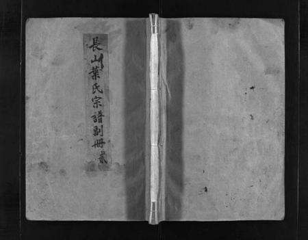 浙江叶氏族谱-长山叶氏宗谱副册 [3卷,及卷首].pdf电子版预览图1