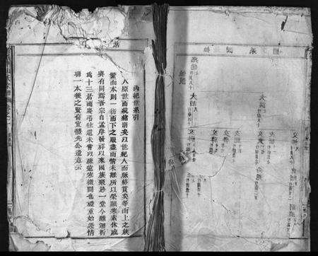 浙江金氏族谱-长林中山[金]氏宗谱 [残卷].pdf电子版预览图1