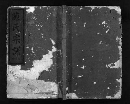 浙江陈氏族谱-长畈官塘陈氏宗谱 [2册].pdf电子版预览图1