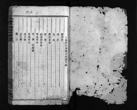 浙江陈氏族谱-长畈官塘陈氏宗谱 [2册].pdf电子版预览图2