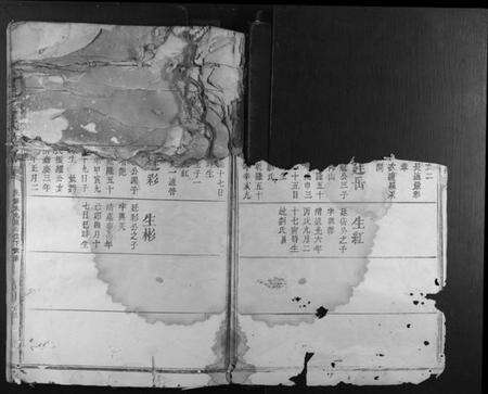 江西凌氏族谱-雩邑凌氏族谱.pdf电子版预览图2