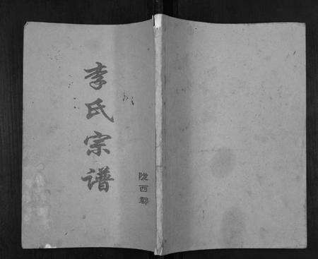 江苏李氏族谱-盐城李氏宗谱.pdf电子版缩略图