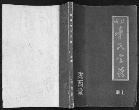 江苏李氏族谱-盐城李氏宗谱[2册].pdf电子版缩略图