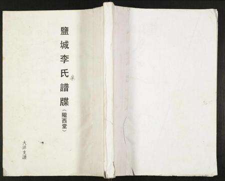 江苏李氏族谱-盐城李氏宗谱大洋支谱.pdf电子版缩略图