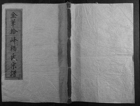 浙江杨氏族谱-关西杨氏宗谱.pdf电子版缩略图