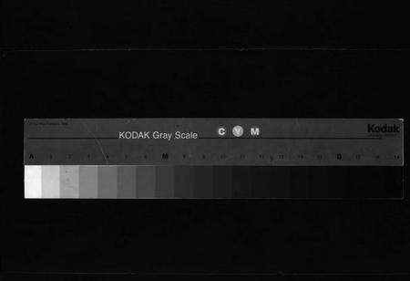 浙江阮氏族谱-阮氏宗谱 [不分卷].pdf电子版缩略图