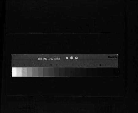 浙江阮氏族谱-阮氏宗谱 [不分卷].pdf电子版缩略图