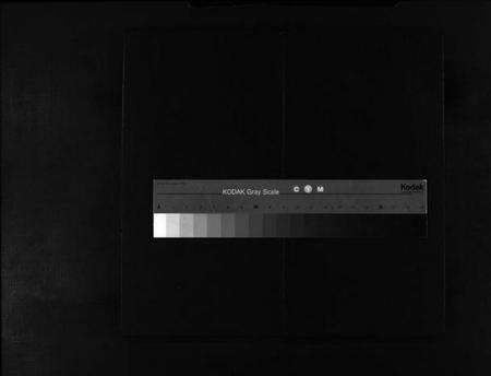 浙江阮氏族谱-阮氏宗谱 [不分卷].pdf电子版缩略图