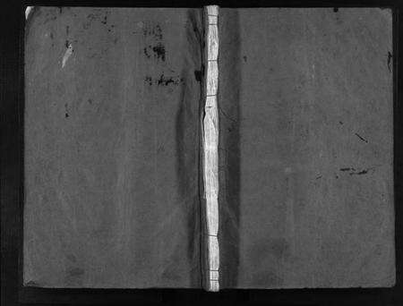 浙江阮氏族谱-阮氏宗谱 [不分卷].pdf电子版预览图1