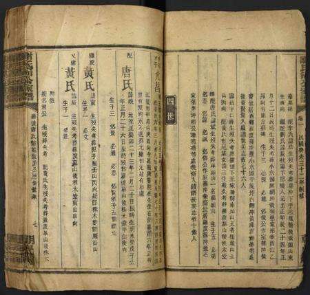 湖南谢氏族谱-谢氏尚公家谱.pdf电子版预览图5