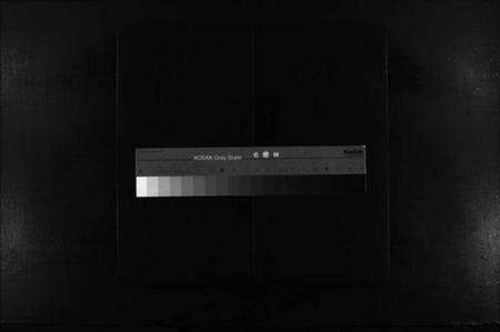 浙江多姓氏族谱-陈川张侯氏宗谱 [世系5卷,行传3卷].pdf电子版缩略图