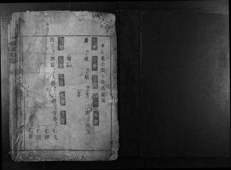 湖南谢氏族谱-谢氏族谱.pdf电子版预览图1