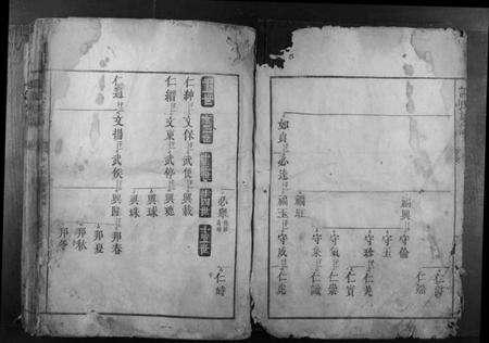 湖南谢氏族谱-谢氏族谱.pdf电子版预览图3