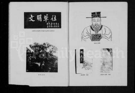 浙江多姓氏族谱-[陈氏]林坑陈村志.pdf电子版预览图5