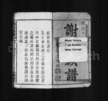 湖南谢氏族谱-谢氏族谱 [残卷].pdf电子版预览图3