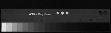 浙江陈氏族谱-陈氏宗谱 [4卷].pdf电子版缩略图