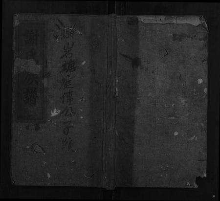 湖南谢氏族谱-谢氏续修族谱.pdf电子版缩略图