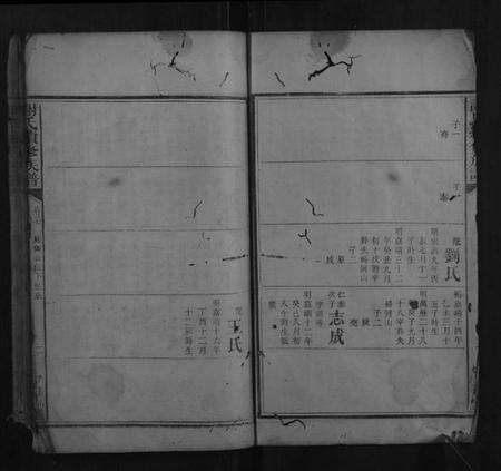 湖南谢氏族谱-谢氏续修族谱.pdf电子版预览图2