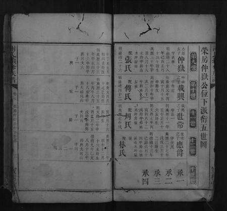 湖南谢氏族谱-谢氏续修族谱.pdf电子版预览图3