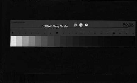 浙江陈氏族谱-陈氏宗谱 [4卷].pdf电子版缩略图
