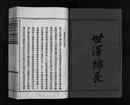 浙江陈氏族谱-陈氏宗谱 [4卷].pdf电子版预览图3