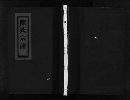 浙江陈氏族谱-陈氏宗谱 [5卷].pdf电子版预览图1