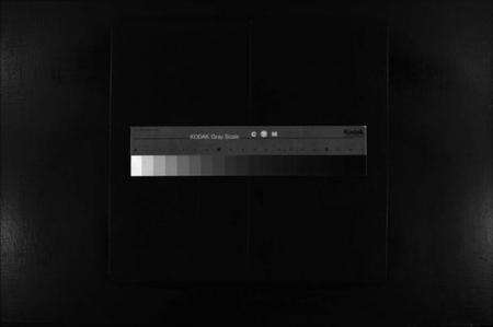 浙江陈氏族谱-陈氏宗谱 [9卷,附1卷].pdf电子版缩略图