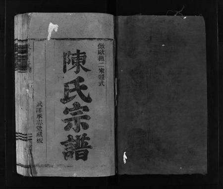 浙江陈氏族谱-陈氏宗谱 [不分卷].pdf电子版预览图2