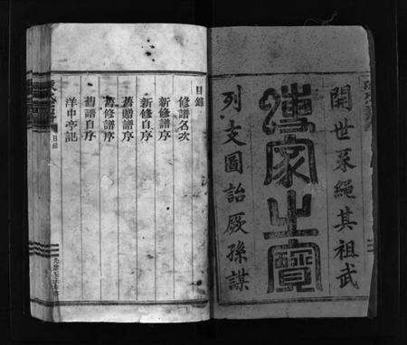 浙江陈氏族谱-陈氏宗谱 [不分卷].pdf电子版预览图3