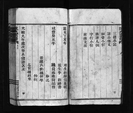 浙江陈氏族谱-陈氏宗谱 [不分卷].pdf电子版预览图4
