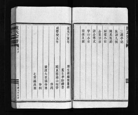 浙江陈氏族谱-陈氏宗谱 [不分卷].pdf电子版预览图4