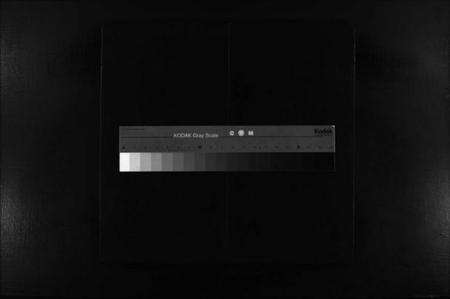 浙江陈氏族谱-陈氏宗谱 [不分卷].pdf电子版缩略图