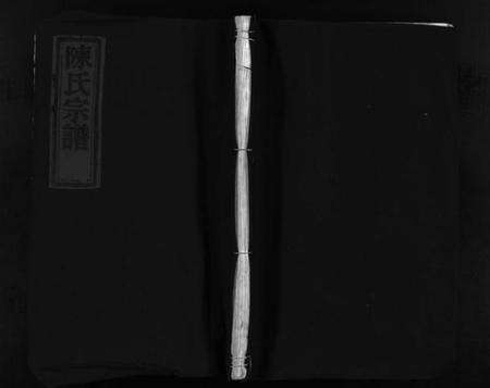 浙江陈氏族谱-陈氏宗谱 [不分卷].pdf电子版预览图1