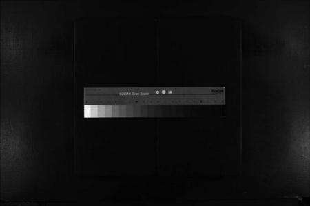 浙江陈氏族谱-陈氏宗谱 [不分卷].pdf电子版缩略图