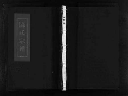 浙江陈氏族谱-陈氏宗谱 [不分卷].pdf电子版预览图1