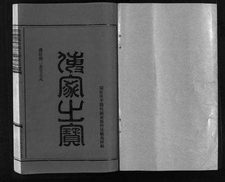 浙江陈氏族谱-陈氏宗谱 [不分卷].pdf电子版预览图2