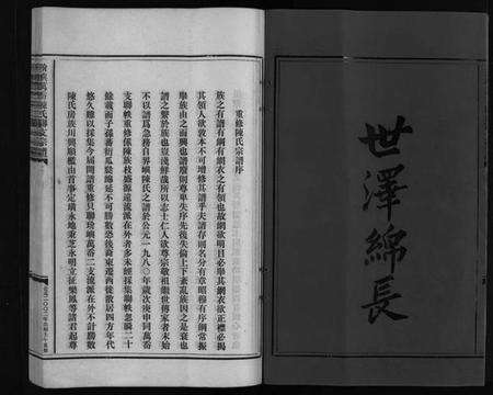浙江陈氏族谱-陈氏宗谱 [不分卷].pdf电子版预览图3