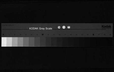 浙江陈氏族谱-陈氏宗谱 [世系4卷,首1卷,行传12卷,艺文9卷].pdf电子版缩略图