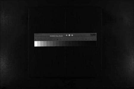 浙江陈氏族谱-陈氏宗谱 [残卷].pdf电子版缩略图