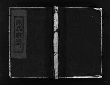 浙江陈氏族谱-陈氏宗谱 [残卷].pdf电子版预览图1