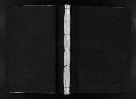 浙江陈氏族谱-陈氏族谱 [不分卷].pdf电子版预览图1