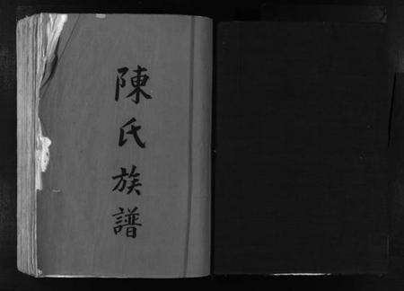 浙江陈氏族谱-陈氏族谱 [不分卷].pdf电子版预览图2